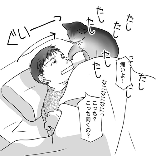 激しくアピールする猫