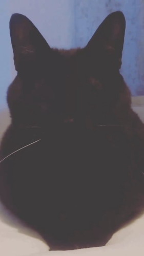 目を閉じたこねろくくん