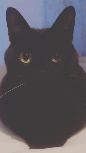 目を閉じていくこねろくくん