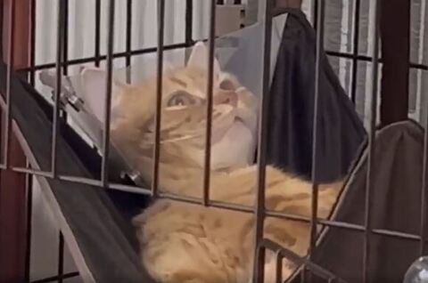 天井を見つめる虎太朗くんのアップ