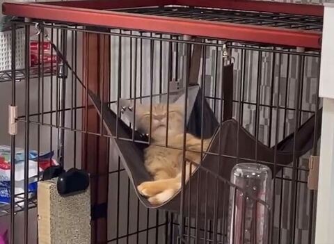 気持ちよさそうな顔をする虎太朗くん