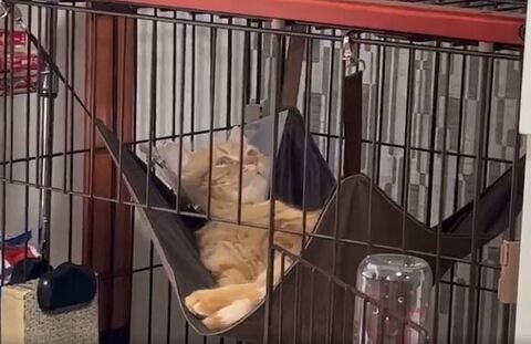 天井を見つめる虎太朗くん