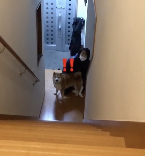 オススメ