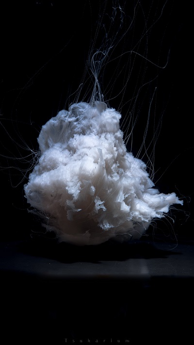 ユウレイクラゲ