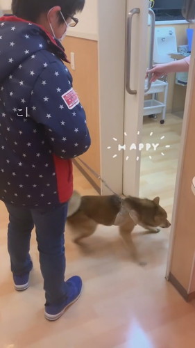 病院が大好きなワンコ