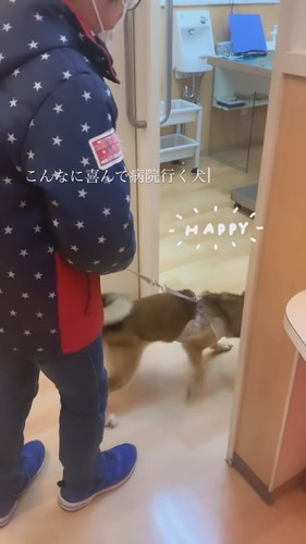 獣医師が大好きなワンコ