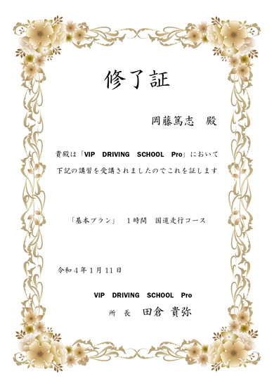 VIP DRIVING SCHOOL Pro