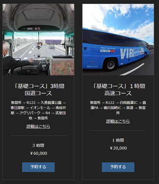 VIP DRIVING SCHOOL Pro