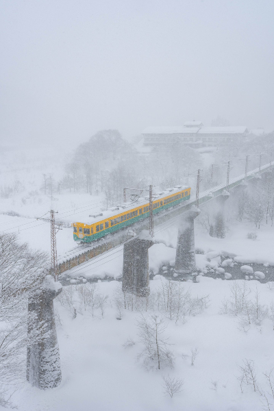 かぼちゃ色の電車