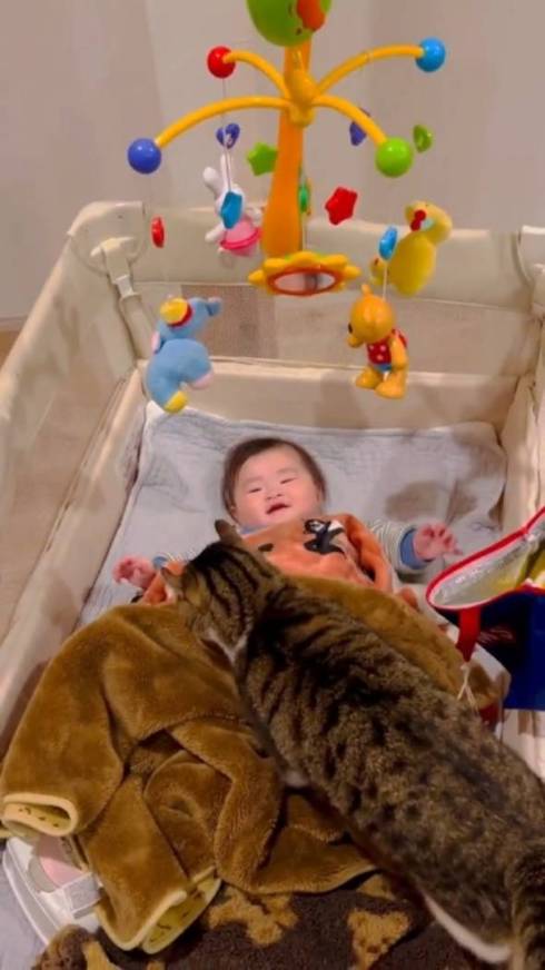 猫に気付いて笑顔になる赤ちゃん