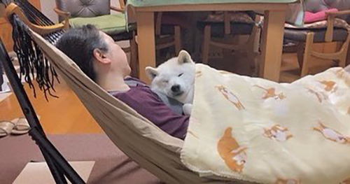 ハンモックあいちゃん