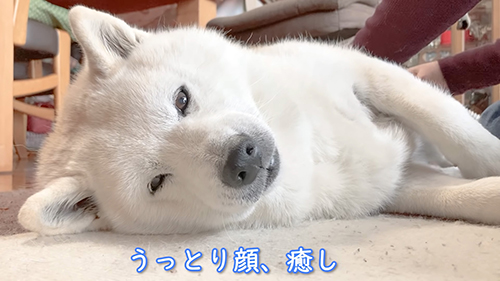 うっとりあいちゃん