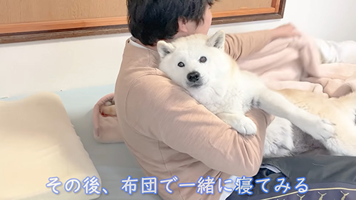 お布団に入るあいちゃん