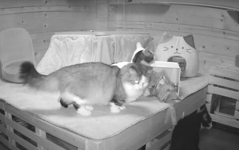 おやつの箱が倒れている