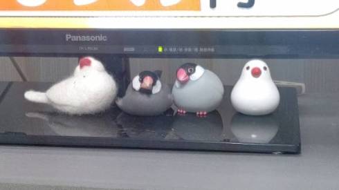 置物にまぎれる桜文鳥