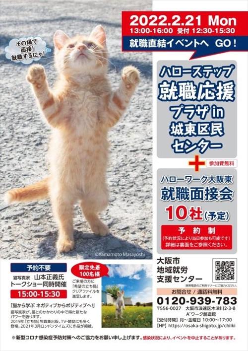 「立ち猫」イベント