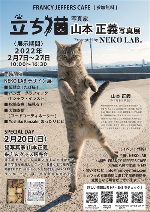 「立ち猫」イベント