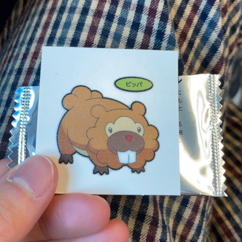 ポケモンパンのナエトルシールがほしい親友とのLINE
