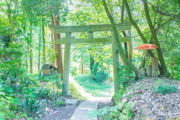 神社がうつった画像