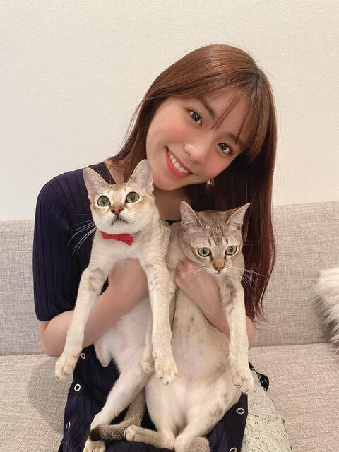 貴島明日香さんと猫