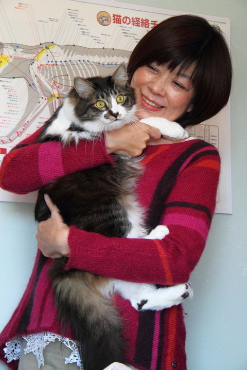 にゃんこを抱く女性