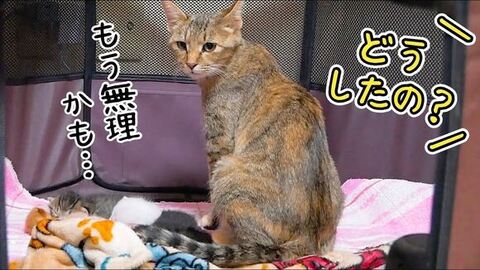 オススメ