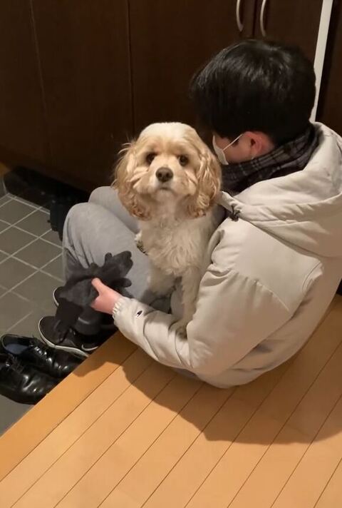 飼い主さんを見るおもちくん