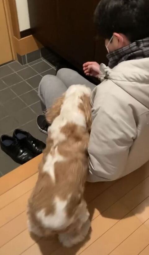 膝に戻るおもちくん