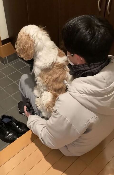 前をみつめてお座り