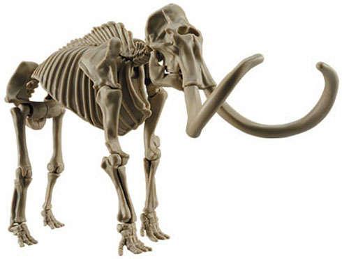 「プラモデル図鑑　マンモス」骨格