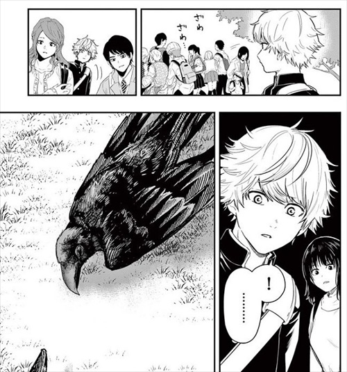 カラスの死骸を発見