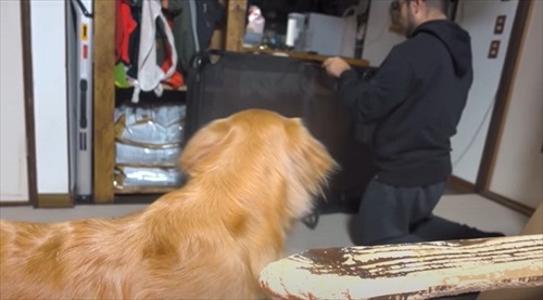 パパのことが大好きなワンコ