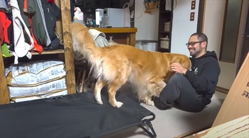 デレデレなパパと甘えん坊のワンちゃん