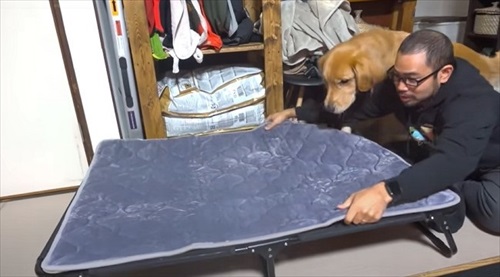 パパにくっつくワンちゃん