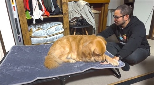 パパにべったりなワンちゃん