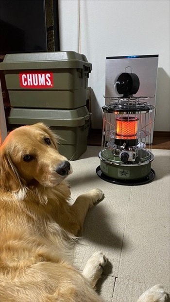 ストーブを占領するワンちゃん