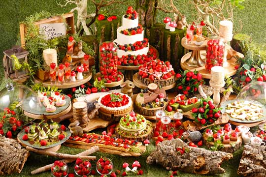 京王プラザホテル 明治 ストロベリーコレクション きのこの山 たけのこの里 アポロ