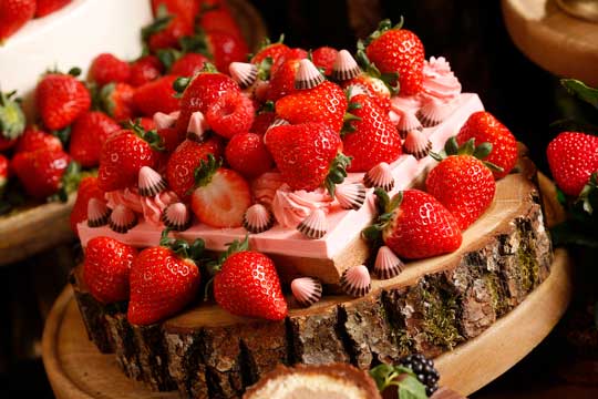 京王プラザホテル 明治 ストロベリーコレクション きのこの山 たけのこの里 アポロ