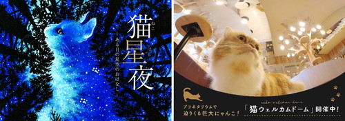「猫の日セレクション」