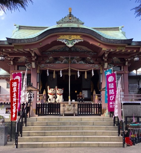 「猫の日セレクション」