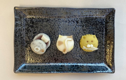 「猫の日セレクション」