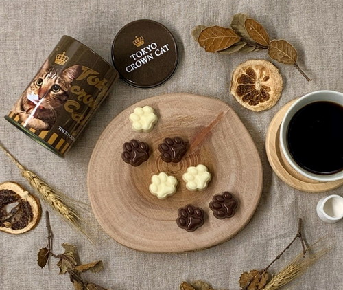 「猫の日セレクション」