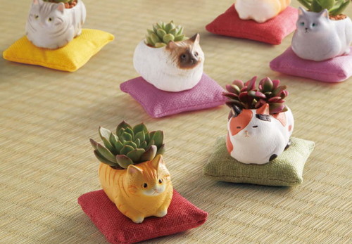 「猫の日セレクション」