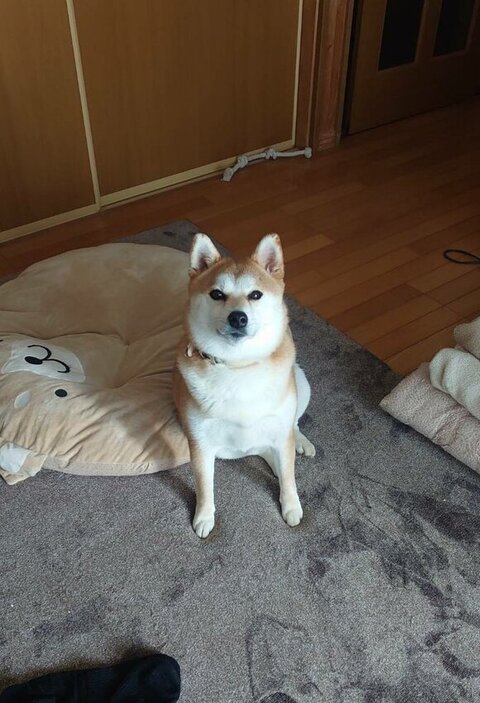 あおちゃん正面