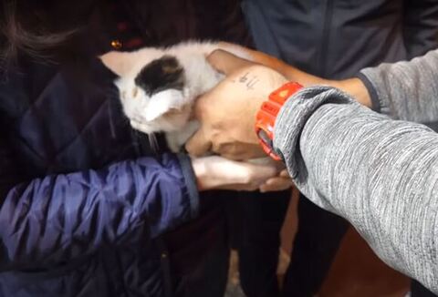 ナナちゃんを引き渡す