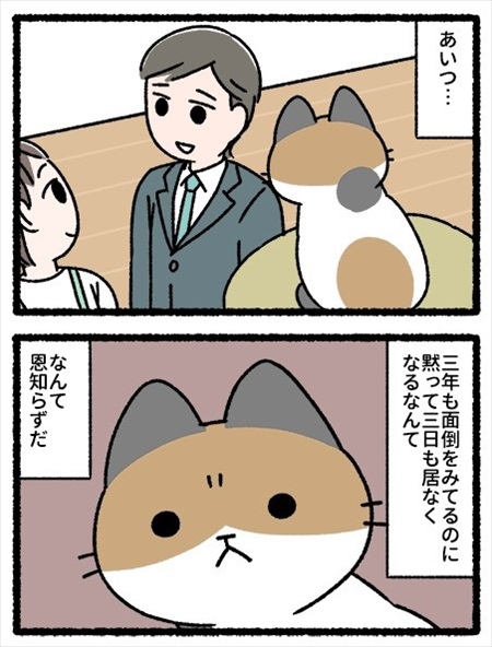猫の気持ちを描いた漫画