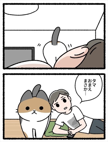 猫あるある漫画