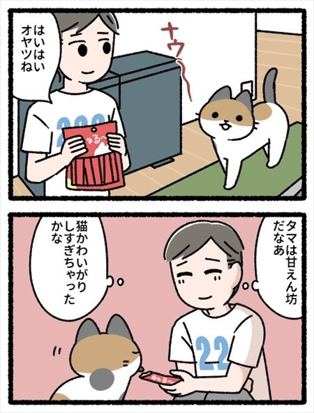 猫のことわざ