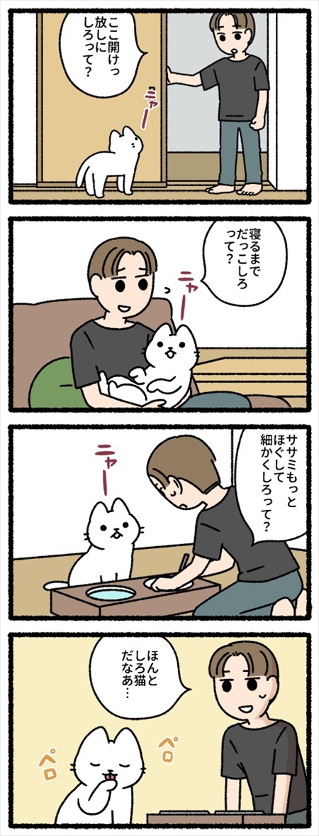 猫のかわいい漫画