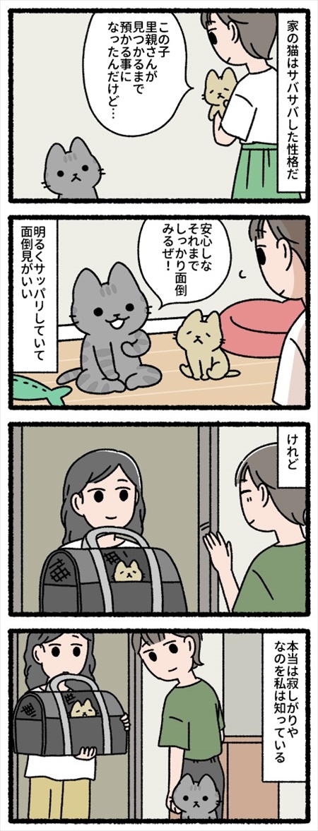 猫に癒やされる漫画
